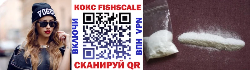 COCAIN FishScale  Купить закладки  Никольск 