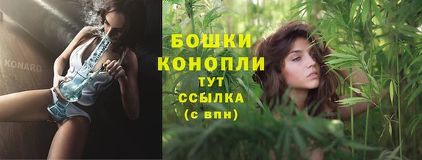 соль ск Инсар