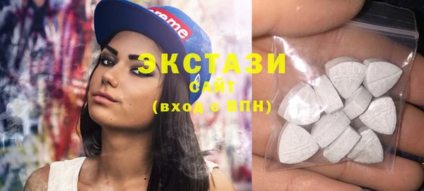 соль ск Инсар