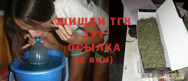 шишки Иннополис