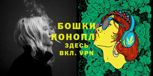 шишки Иннополис