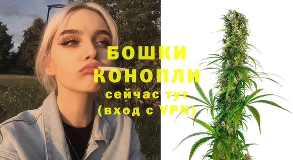 соль ск Инсар