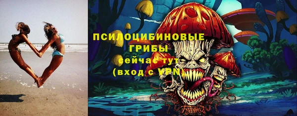 кристаллы Инта