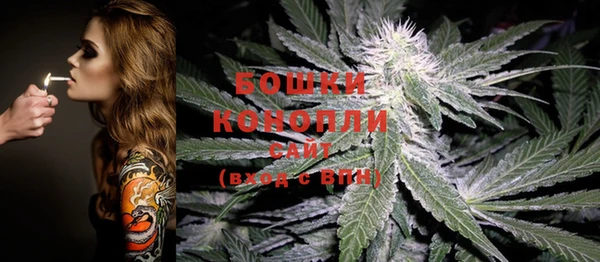 шишки Иннополис
