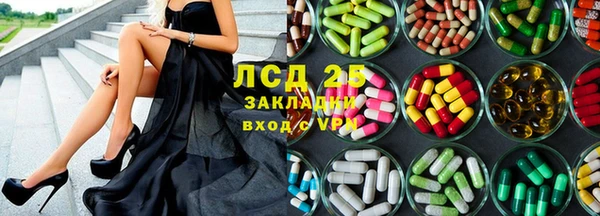 соль ск Инсар