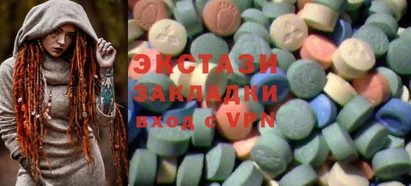 соль ск Инсар