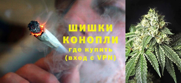 соль ск Инсар