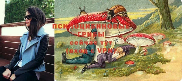 шишки Иннополис