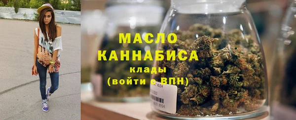 соль ск Инсар