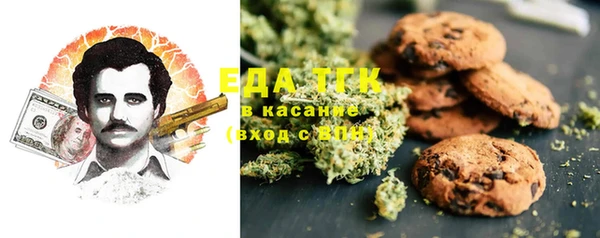 соль ск Инсар