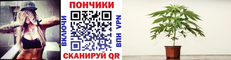 Марихуана гибрид  Купить где  Никольск 